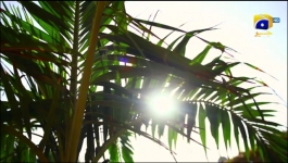 Guddu - Episode 68 - 24th Oct 2022